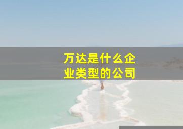 万达是什么企业类型的公司