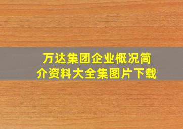 万达集团企业概况简介资料大全集图片下载