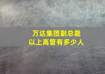 万达集团副总裁以上高管有多少人