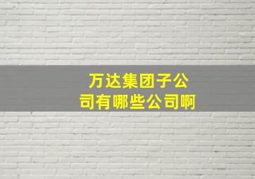 万达集团子公司有哪些公司啊