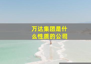 万达集团是什么性质的公司