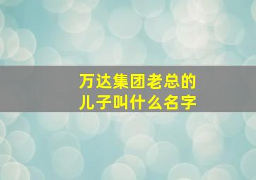 万达集团老总的儿子叫什么名字