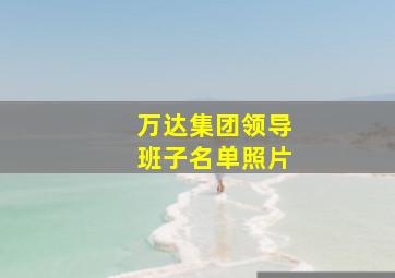 万达集团领导班子名单照片