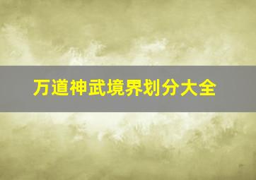 万道神武境界划分大全