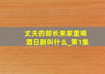 丈夫的部长来家里喝酒日剧叫什么_第1集