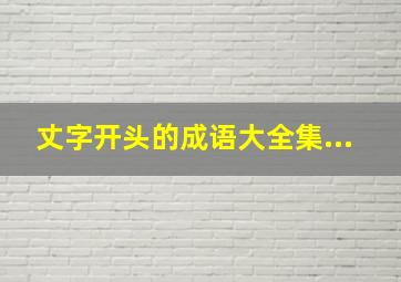 丈字开头的成语大全集...