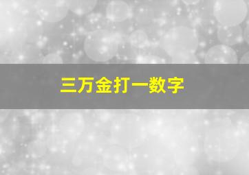 三万金打一数字