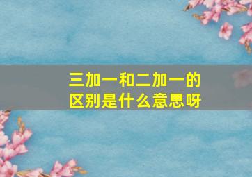 三加一和二加一的区别是什么意思呀