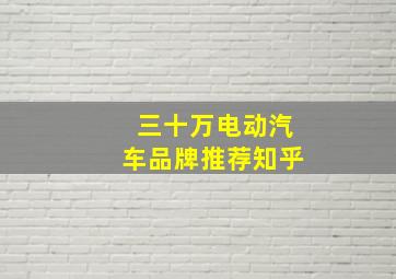 三十万电动汽车品牌推荐知乎