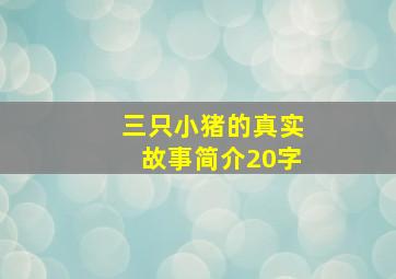 三只小猪的真实故事简介20字