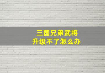 三国兄弟武将升级不了怎么办