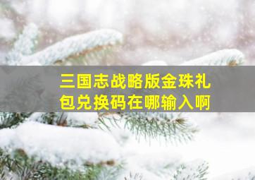 三国志战略版金珠礼包兑换码在哪输入啊