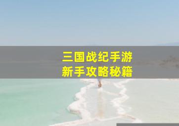 三国战纪手游新手攻略秘籍