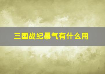 三国战纪暴气有什么用