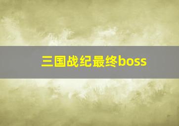 三国战纪最终boss