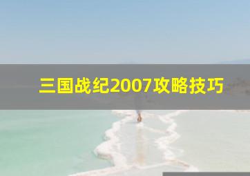 三国战纪2007攻略技巧