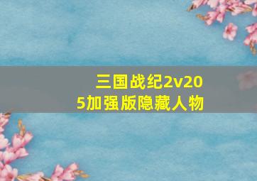 三国战纪2v205加强版隐藏人物