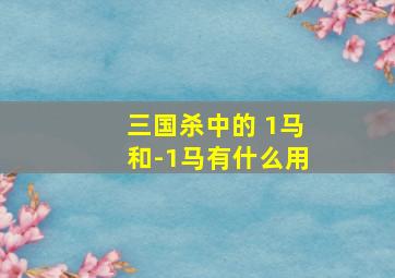 三国杀中的+1马和-1马有什么用