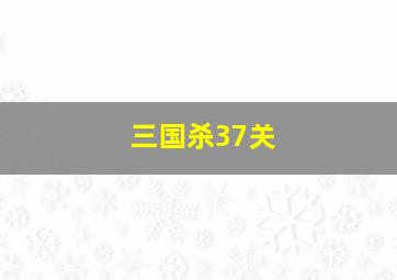 三国杀37关