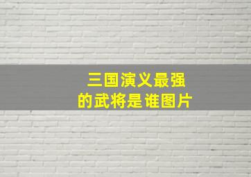 三国演义最强的武将是谁图片