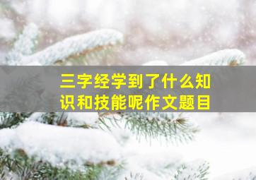 三字经学到了什么知识和技能呢作文题目