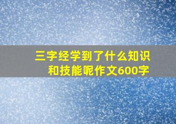 三字经学到了什么知识和技能呢作文600字