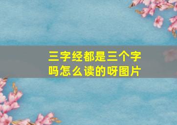 三字经都是三个字吗怎么读的呀图片