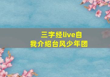 三字经live自我介绍台风少年团