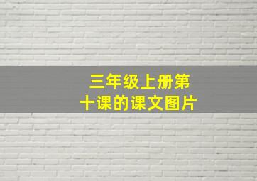 三年级上册第十课的课文图片