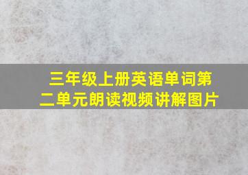 三年级上册英语单词第二单元朗读视频讲解图片