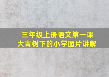 三年级上册语文第一课大青树下的小学图片讲解