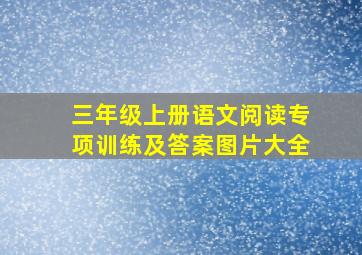 三年级上册语文阅读专项训练及答案图片大全