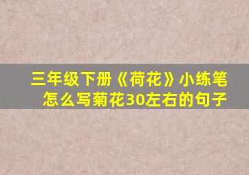 三年级下册《荷花》小练笔怎么写菊花30左右的句子