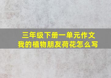 三年级下册一单元作文我的植物朋友荷花怎么写