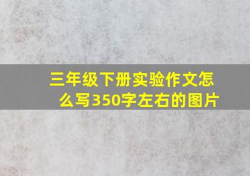 三年级下册实验作文怎么写350字左右的图片