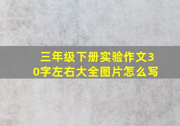 三年级下册实验作文30字左右大全图片怎么写