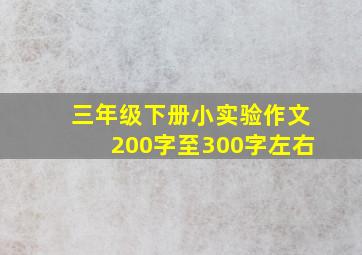 三年级下册小实验作文200字至300字左右