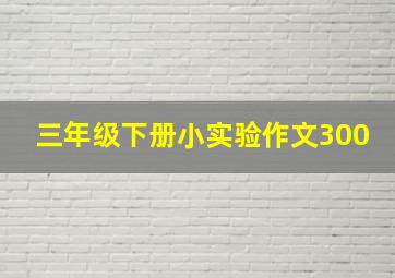 三年级下册小实验作文300