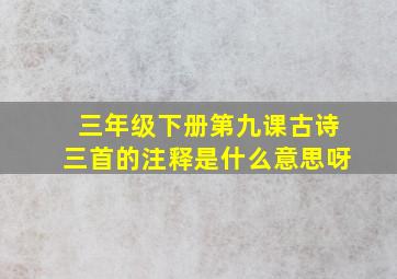 三年级下册第九课古诗三首的注释是什么意思呀