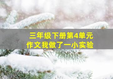 三年级下册第4单元作文我做了一小实验