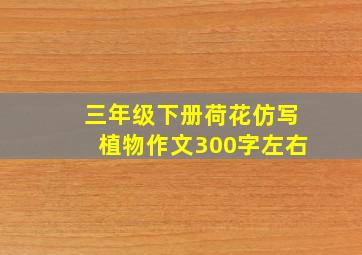 三年级下册荷花仿写植物作文300字左右