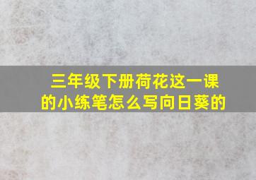 三年级下册荷花这一课的小练笔怎么写向日葵的