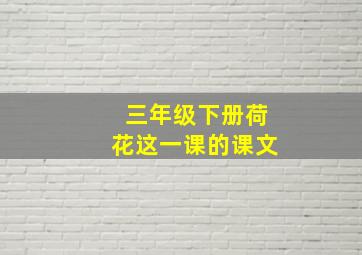 三年级下册荷花这一课的课文