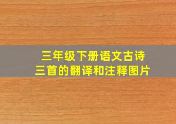 三年级下册语文古诗三首的翻译和注释图片