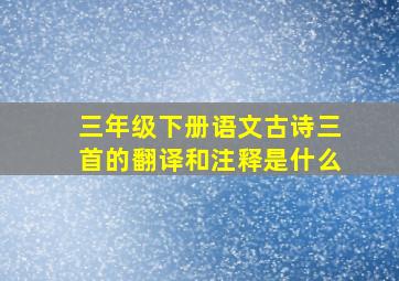 三年级下册语文古诗三首的翻译和注释是什么