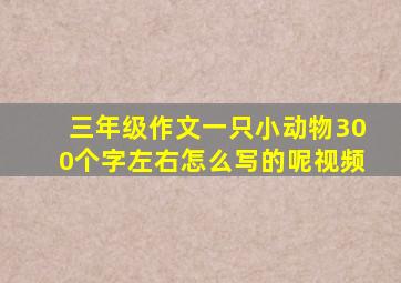 三年级作文一只小动物300个字左右怎么写的呢视频