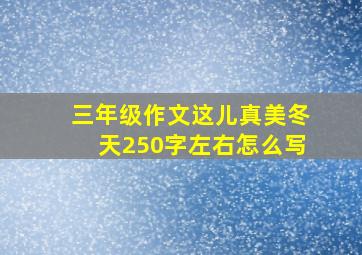 三年级作文这儿真美冬天250字左右怎么写