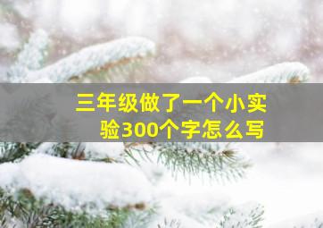 三年级做了一个小实验300个字怎么写