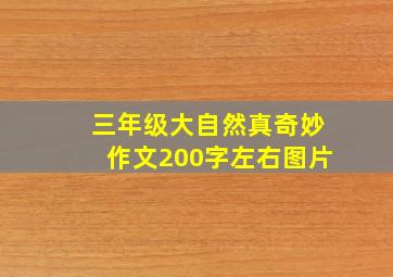 三年级大自然真奇妙作文200字左右图片