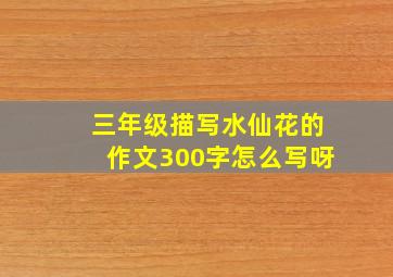 三年级描写水仙花的作文300字怎么写呀